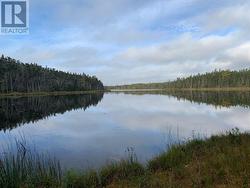 Lot 604 Clearwater Close  Whitbourne, NL A0B 3K0