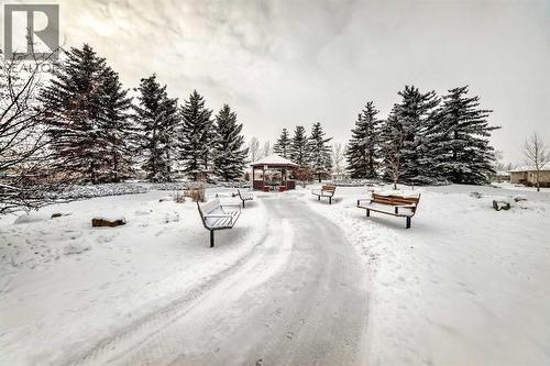 Walking path - 417 Hope Bay, Rural Rocky View County, AB - Outdoor
