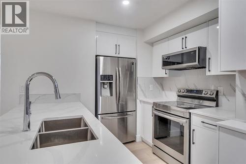 52 Saddlecreek Terrace Ne, Calgary, AB - Indoor Photo Showing Kitchen With Double Sink With Upgraded Kitchen