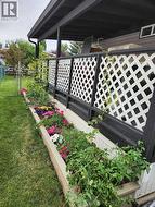 Garden box by deck (summer) - 