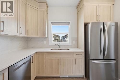 Light Colour Palette - 292 Cornerbrook Drive Ne, Calgary, AB - Indoor Photo Showing Kitchen With Double Sink