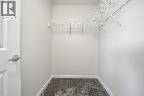 Walk in Closet - 292 Cornerbrook Drive Ne, Calgary, AB - Indoor With Storage
