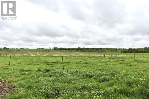 374136 6Th Line, Amaranth, ON 