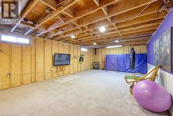 Basement with carpet flooring - 