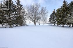 View of snowy yard - 