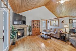 Gorgeous propane gas fireplace - 