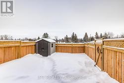 New fence and storage shed - 