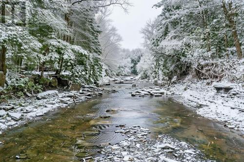 Ravine - 1285 Mineola Gardens, Mississauga, ON - Outdoor With Body Of Water With View