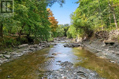Ravine - 1285 Mineola Gardens, Mississauga, ON - Outdoor With Body Of Water With View