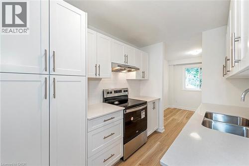 88 Tunbridge Crescent Unit# 49, Hamilton, ON - Indoor Photo Showing Kitchen With Double Sink