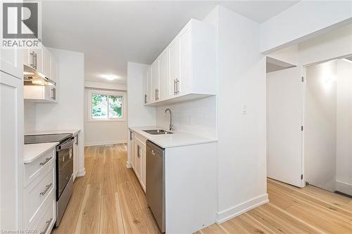 88 Tunbridge Crescent Unit# 49, Hamilton, ON - Indoor Photo Showing Kitchen With Double Sink