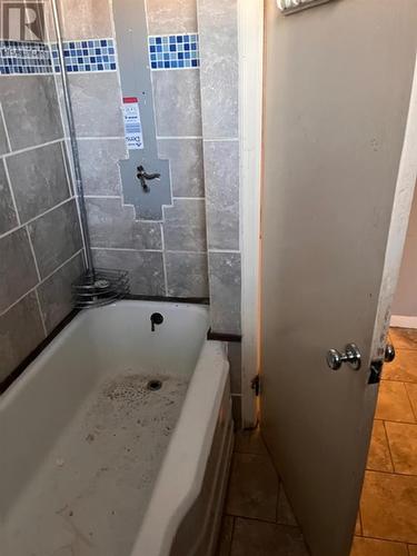 527 Court St N, Thunder Bay, ON - Indoor Photo Showing Bathroom