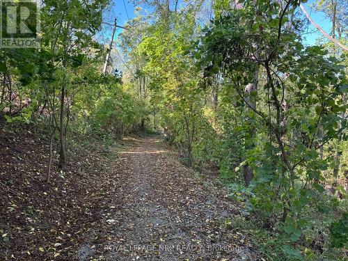 Walking trail at end of the street - 11 Violet Street, St. Catharines (Grapeview), ON - Outdoor
