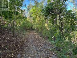 Walking trail at end of the street - 