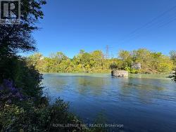 View of 12 mile creek from pathway - 