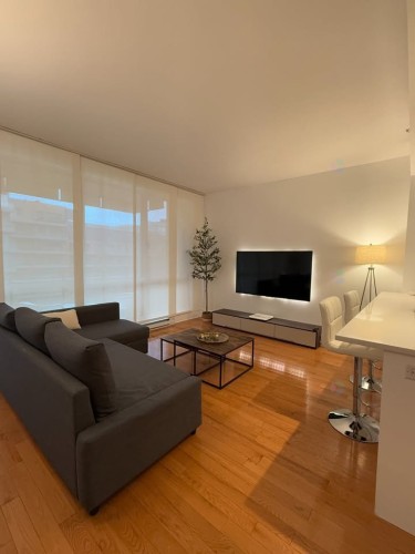 Salon - 605-901 Rue De La Commune E., Montréal (Ville-Marie), QC - Indoor Photo Showing Living Room With Fireplace