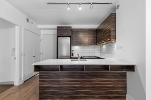 Cuisine - 547-1414 Rue Chomedey, Montréal (Ville-Marie), QC - Indoor Photo Showing Kitchen With Double Sink