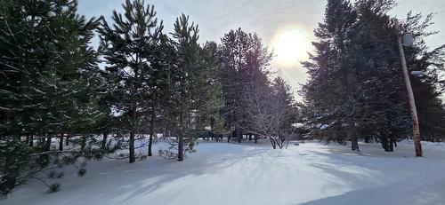 Extérieur - 8 Ch. Cora, Grand-Remous, QC - Outdoor With View