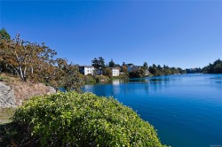 208-69 Gorge Rd WEST Saanich, BC V9A 1L9