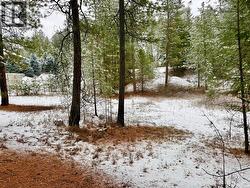 Lot 11 PROSPECT Drive  Grand Forks, BC V0H 1H2