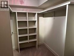 Huge Walk In Closet with room above for storage - 