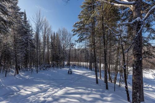 Cour - 240 Ch. Des Grands-Ducs, Saint-Michel-Des-Saints, QC - Outdoor With View