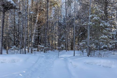 Cour - 240 Ch. Des Grands-Ducs, Saint-Michel-Des-Saints, QC - Outdoor With View