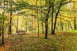 Outdoor Seating Areas - 