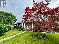 4 FERNWOOD Place Unit# Lower Unit  Kitchener, ON N2M 2Z2
