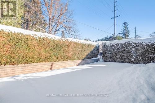 Gorgeous cedar hedges offer privacy - 1259 Placid Street, Ottawa, ON - Outdoor