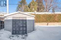 Shed in yard - 