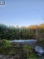 37.8 Hec Bettsburg Road  Bettsburg, NB E9C 1L1