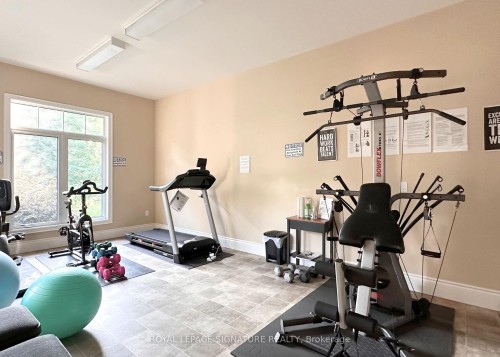 3-393 Manitoba Street, Bracebridge, ON - Indoor Photo Showing Gym Room
