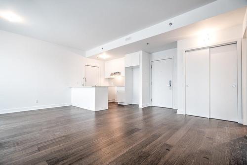 Salon - 602-1700 Rue Viola-Desmond, Montréal (Lasalle), QC - Indoor Photo Showing Kitchen