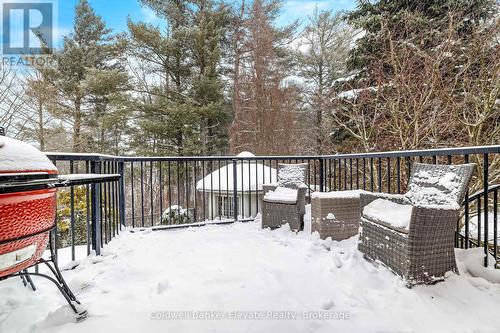 43 Newman Place, Halton Hills, ON - Outdoor