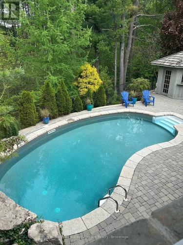 43 Newman Place, Halton Hills, ON - Outdoor With In Ground Pool With Backyard