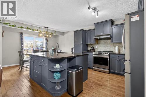 115 Covemeadow Court Ne, Calgary, AB - Indoor Photo Showing Kitchen With Upgraded Kitchen