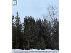 51 DAWSON Crescent  Elkford, BC V0B 1H0