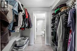 Primary Walk-through Closet - 