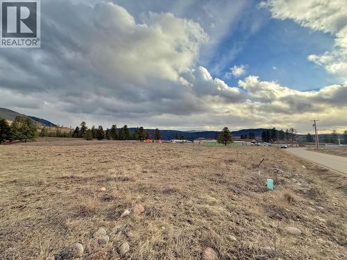 240 David Brown Way, Princeton, BC 