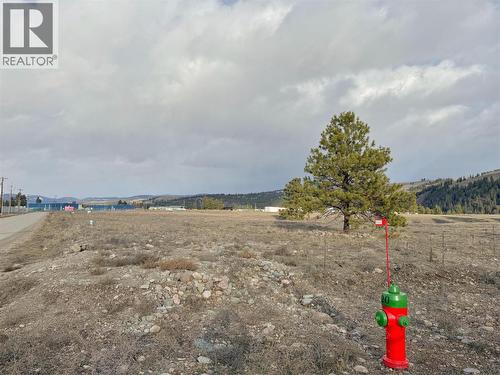 240 David Brown Way, Princeton, BC 