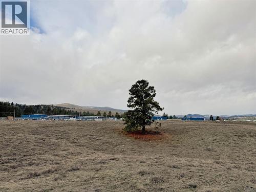 240 David Brown Way, Princeton, BC 