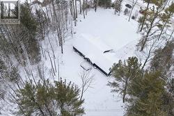 Nestled in the Trees - 