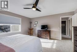 Bright South Facing window in Master - 