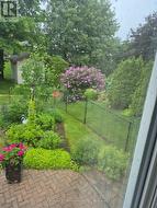 Fully fenced in yard - 