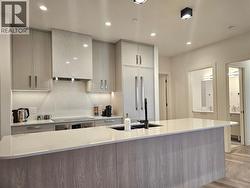 Slim shaker cabinet - 