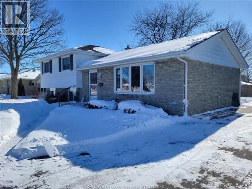 529 DORA DRIVE  Wallaceburg, ON N8A 2K2