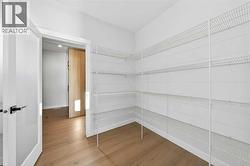 Walk through pantry - 