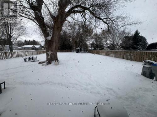 269 Richmond Street, North Middlesex (Parkhill), ON - Outdoor