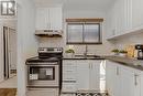 117 - 475 Bramalea Road, Brampton, ON  - Indoor Photo Showing Kitchen With Upgraded Kitchen 